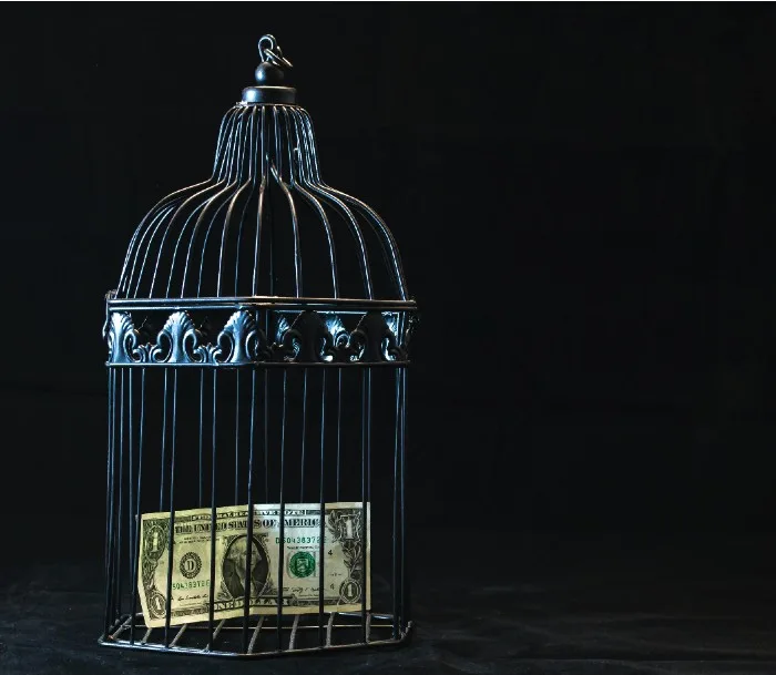 Curso de Marketing Digital Gratuito: Dinheiro Não Pode Ser Um Problema